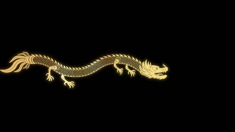 banner NAGA2000